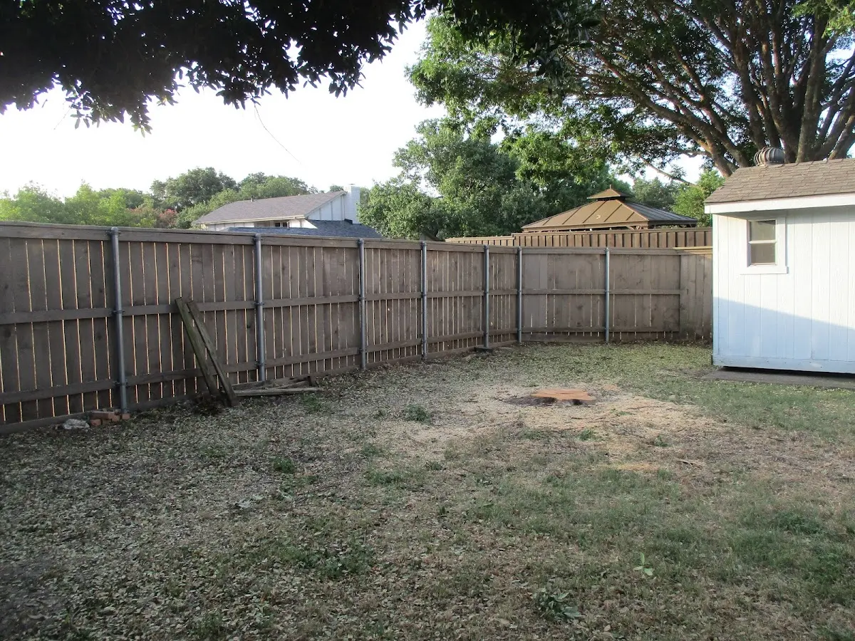 Cleared yard after professional tree removal in Farmington