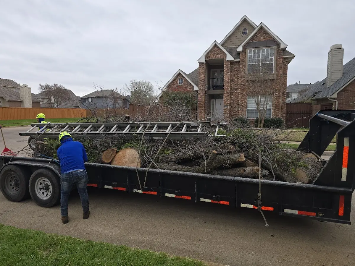 Expert Lot Clearing with proper safety equipment in Farmington